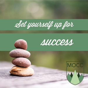 Set Yourself Up for Sucess